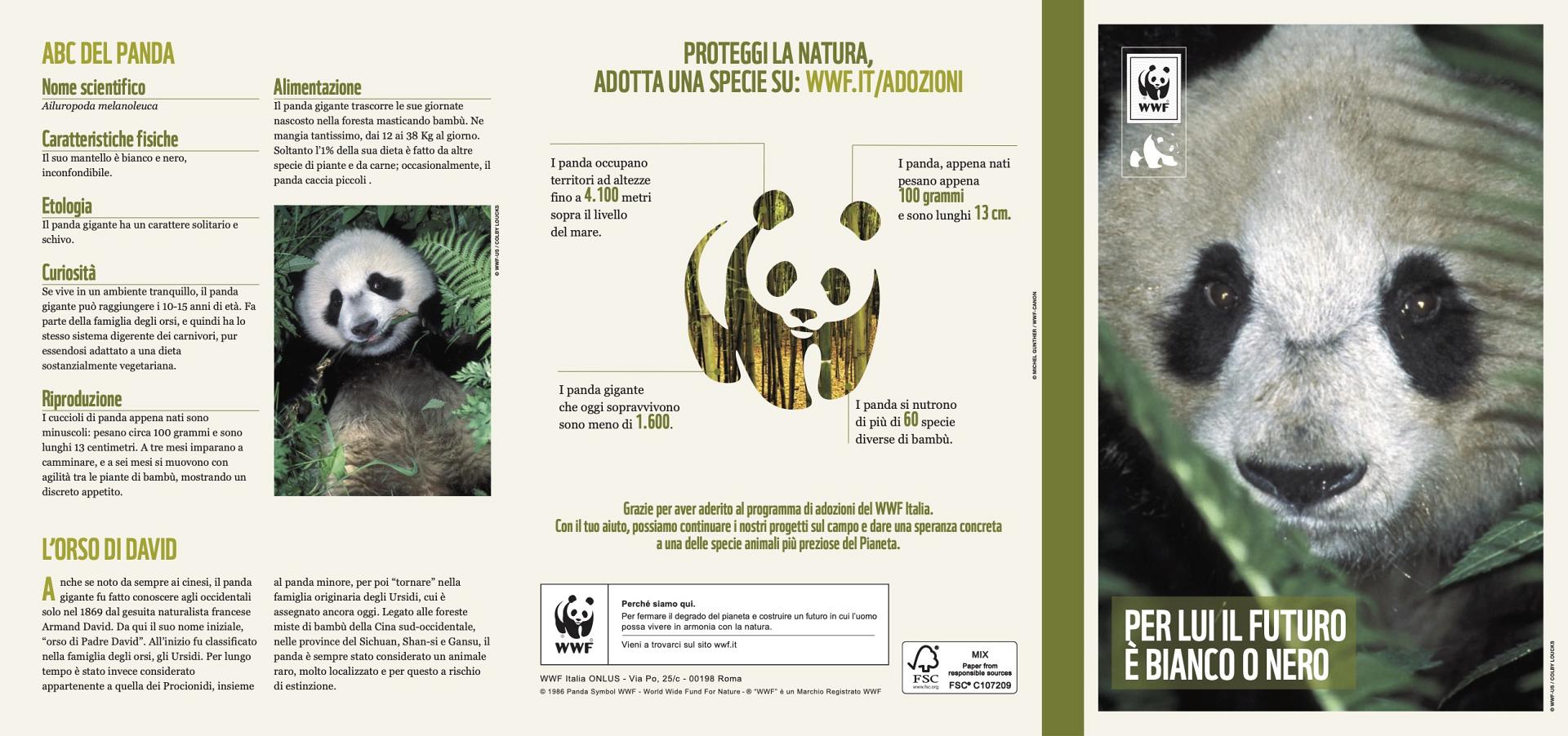 folder adozione panda